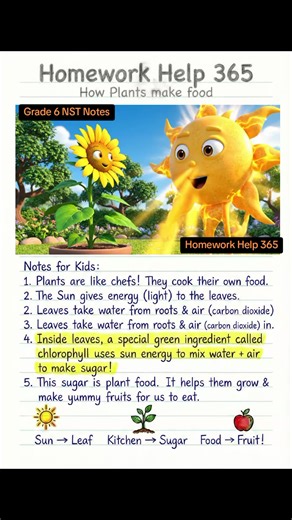 Homework Help Notes for Engaging Study Sessions