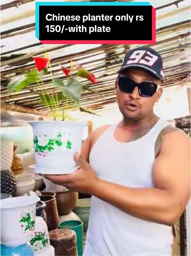 Special Offer on Unique Chinese Pot for Only 150/-