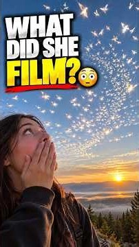 You Have to See This! What Were They?