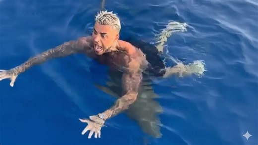 Why calling sharks friendly sea puppies can cost people limbs