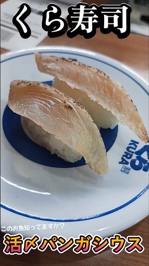 【くら寿司】貴方は「パンガシウス」というお魚って知っていますか？？【ゆみチャンネル】