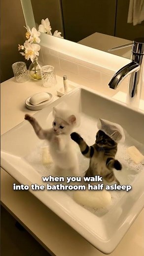 Half-asleep… cats DANCING in my sink? 💀
