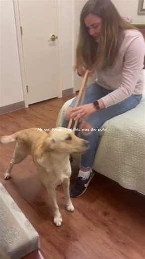 Nothing quite as special as match day 🦮💕 VD: Text on a video of Seeing Eye graduate Kylie meeting her yellow Lab Seeing Eye dog for the first time reads, “Almost forgot that this was the point” Kylie’s pup jumps up on her lap as Kylie sits on the bed and gives Kylie plenty of kisses. #theseeingeye #seeingeyedog #guidedog #dogsoftiktok