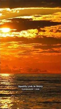 Kein Zweifel | Johannes 14 (Bibel Song) #bibel #jesus