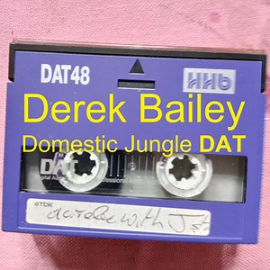 Derek Bailey - Domestic Jungle DAT