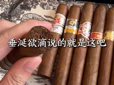 私卷分享|何以解忧唯有宽丘，派茄不贵，社交神器