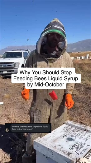 Most beekeepers know they need to feed in fall… But not everyone knows when to stop. If you keep feeding syrup too late in the season, bees can’t evaporate the moisture down into honey before the cold hits. That leaves them with watery stores — which can cause condensation, dysentery, and colony loss. Here in Utah, we aim to stop feeding by mid-October, adjusting our mix to a 2:1 sugar-to-water ratio so it cures faster. The goal is to give them solid honey stores before temperatures drop too low