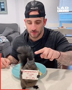 This lad shares what life is like as a squirrel daddy 😅🐿 | STUDENTbible