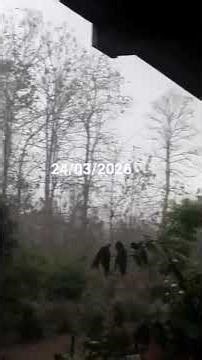 margerethvlog heavy rain 🌧️ lightning 🌩️🌩️🌩️🌩️