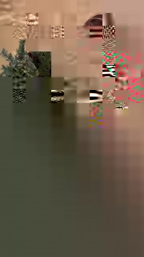 Friends, this is your sign to add cluster rice lights to either your unlit or pre-lit trees. The look is a whole new level of enchanting. My rice cluster lights are from Amazon. I added 1200 to my tree. They come with a remote and can be put on various setting including a twinkle, steady, fade, chasing, etc.I'm in love with the magic of this year's twinkle and can't wait to add decorations.They're amazing and everyone knows it. They're selling fast so head over to https://liketk.it/4n51o and get