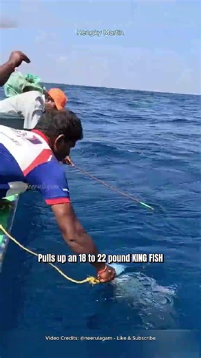 THIS LIVE BAIT GOT DESTROYED #kingfish #fishing #fish