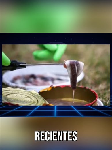 ESTO solo se come al aire libre 🐟 #sweden #food #traditional #fish #funny