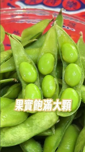 台灣毛豆推薦｜不知不覺嗑完一整包✨超好吃的飽滿多汁毛豆開團啦🫛