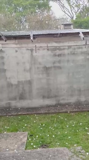 349K views · 3.5K reactions | Hace instantes. Caída de granizo en San Francisco, Córdoba.  Reporte enviado a nuestro WhatsApp. 15/11/2025 | Meteorología Argentina y mundial | Facebook