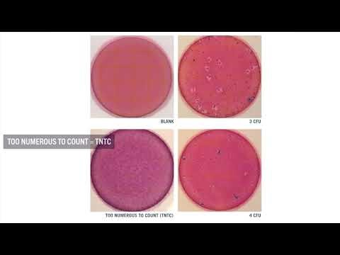 E. coli monitoring with SC Adopt-a-Stream