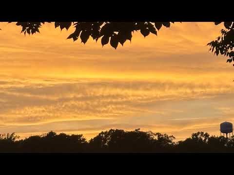 The amazing digital circus reaction video!