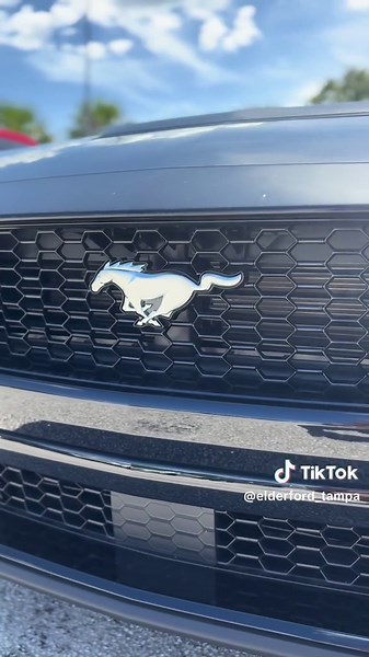 2025 Mustang GT 5.0 at your local Elder Ford dealership contact us today. Contact information in bio #stanggang #mustang #carsoftiktok #dealership #fyp #elderfordoftampa