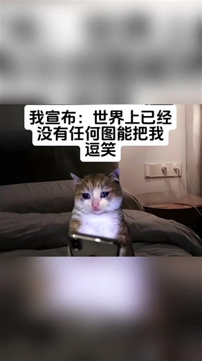 世界上已经没有任何图能把我逗笑！#cheems #funny #memes