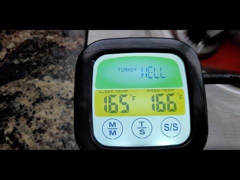 🔥 Testing digital thermometer on Thanksgiving turkey!