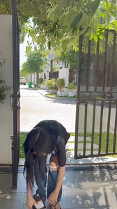 4.9M views · 220K reactions | Hug the wrong person / slow motion | Kien mct | Facebook