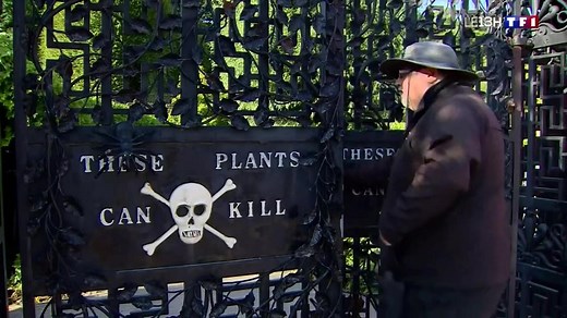 La fête d'Halloween en Angleterre