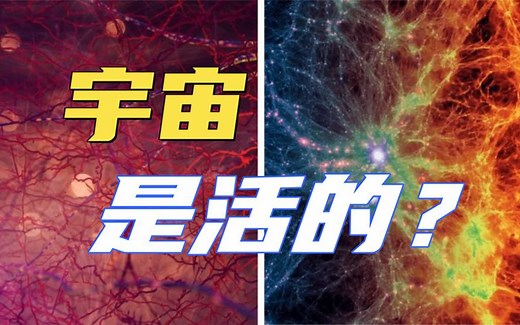 宇宙是活的？生命进化的最终形态竟然是宇宙本身，合集
