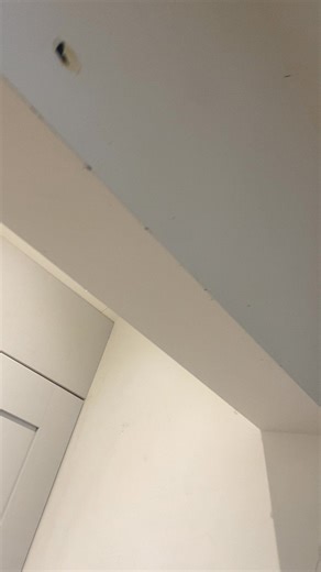 1.2K views | All 8 bulbs in this utility room were not working, thats not good when it’s dark by 5pm. Now there are 8 dimmable cool white bulbs to bring some light into this area. | Perfect Solution | Facebook