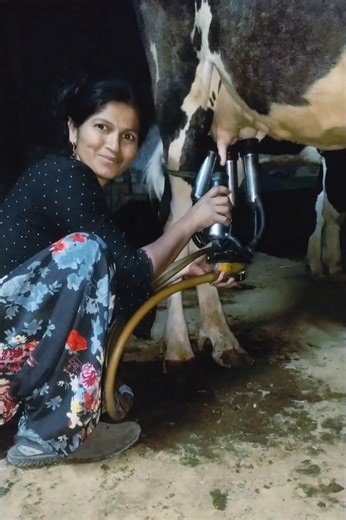 cow milk machine in India very fast #yogitahindivlogs #cow
