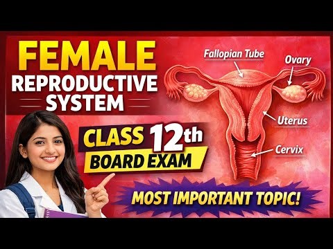 Female Reproductive System 🔥 | Class 12 Biology | Most Important Topic for Board Exam #Class12