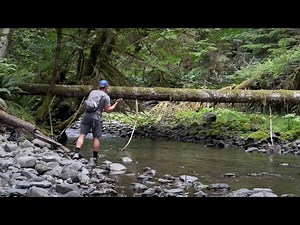 CRESCENTI CUTTHROAT TROUT!! | Fishing for INCREDIBLE Native Fish! | Olympic National Park