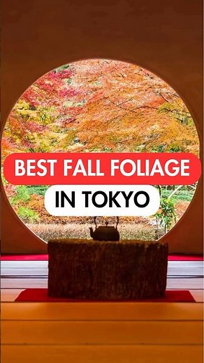 BEST AUTUMN LEAVES SPOTS in TOKYO🍁 #japan #japantravel #tokyo #autumncolors