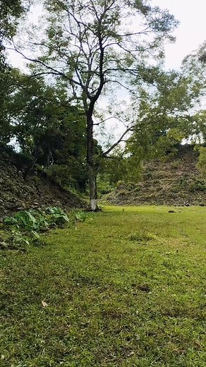 Los ídolos un importante sitio arqueológico en el municipio de Misantla Veracruz.#misantlalegendario #sitiosarqueologicos