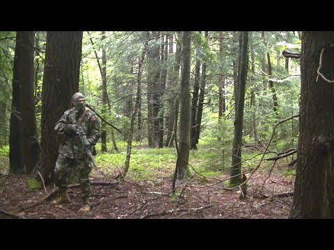 U.S. Military M81 Woodland Camouflage Effectiveness Test - Summer
