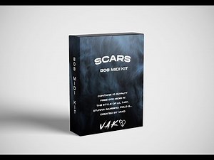 [FREE] 808 Midi Kit (Lil Tjay, Stunna Gambino, Polo G, Lil Durk, Rod Wave) | Scars