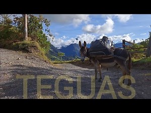 LOS TEGUAS. Un pueblo que se resiste a desaparecer