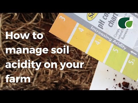 Soil Acidity: How to manage soil acidity on tropical soils