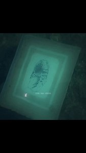 154K views · 7.9K reactions | The history of earth in a 1000 page book #documentary #life #earth #evolution #earthstory | Life Laps | Facebook