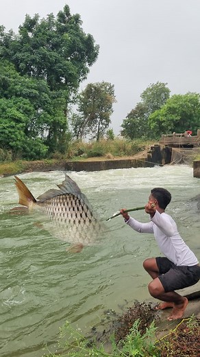 771K views · 4.6K reactions | Unbelievable technique fishing Video #fishing #fish #reels #video | Fisherman Animal Lover-Original | Facebook