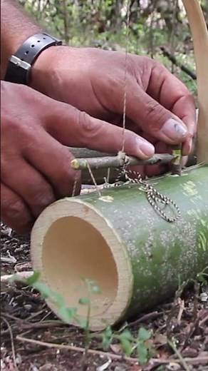 How to make a rat trap from bamboo