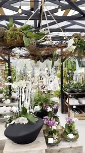 Our orchid house is brimming with gorgeous orchid planters at the moment—one of them is sure to add a touch of elegance and a pop of 'wow' to any room in your home! 💜 Check it out... | West Coast Gardens