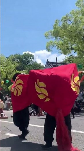 四頭が息ぴったりの獅子舞 #獅子舞 #祭り