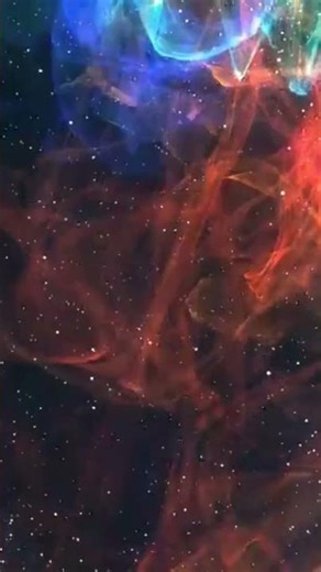 ছোট্ট পাখি 🐦🐦short#video #viral #shortsvideo #