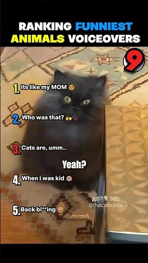 Ranking the funniest animal voiceovers 🤣