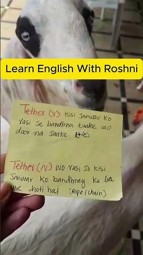 Learn the word “Tether” – Noun & Verb with Examples | Daily Vocabulary Series