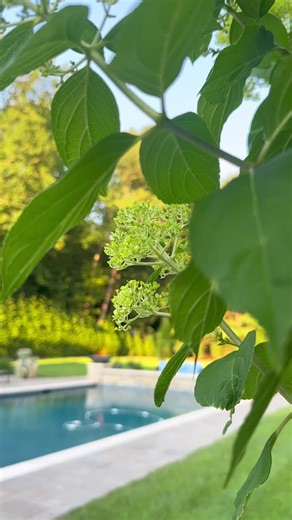 Just another example of what we at Borst Landscape can do for your home! | Timothy Marten