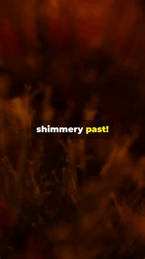 Honest Abe | Origins of Xmas tree tinsel! | Instagram