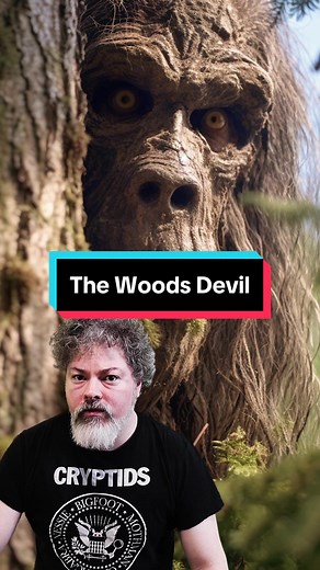 In the North Country of New Hampshires Coos County, people have been reported witnessing slender and hairy humanoids way out in the wilderness. These Bigfoot-type cryptids are incredibly stealthy and elusive, and nobody knows what they are exactly. Are they Bigfoot, or something else? #thewoodsdevil #newhampshire #cryptid #cryptozoology #cryptidmap #urbanlegend