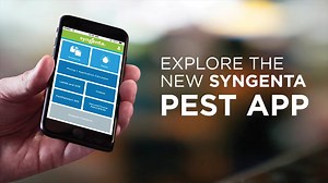 Explore the NEW SYNGENTA PEST APP! Download now! Available in Play Store for android and App Store for iOS. Click the link below to download the app; For apple devices, download on the App Store: https://apps.apple.com/us/app/syngenta-pest-management-app/id1436941297 For android, get it on Google Play: https://play.google.com/store/apps/details?id=com.syngenta.ppm_na | Syngenta
