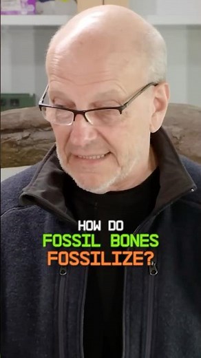 How Fossil Bones Fossilize