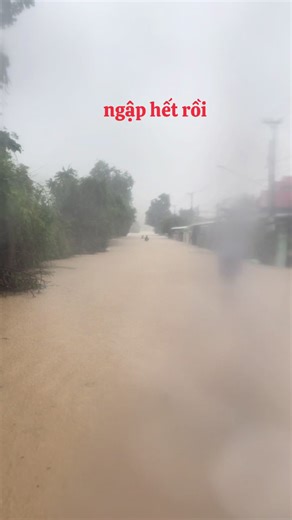 ngập hết rồi k còn j nữa rồi#lũlụt